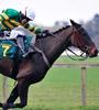 Turfcutter