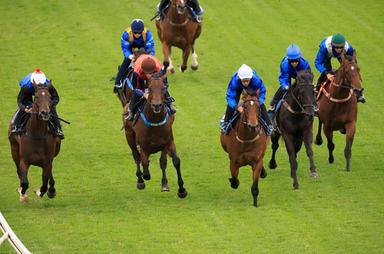 Canterbury trials 