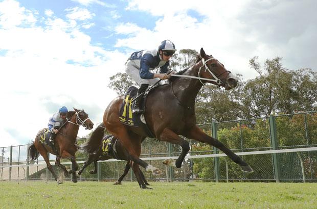 Country-Racing12.jpg