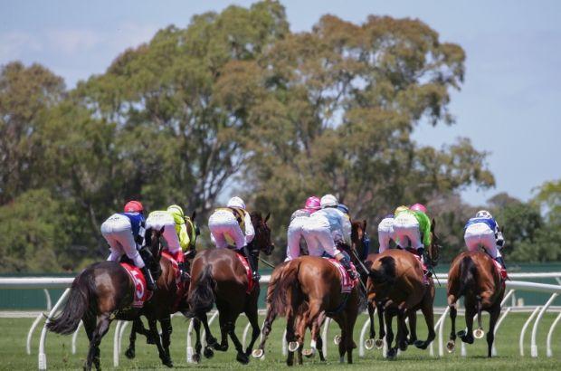 Country-Racing2.jpg