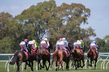 Country Racing2 