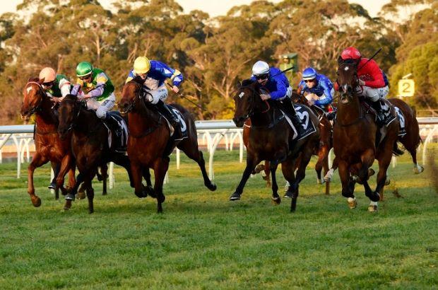 Country-Racing4.jpg