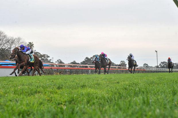 Country-Racing7.jpg