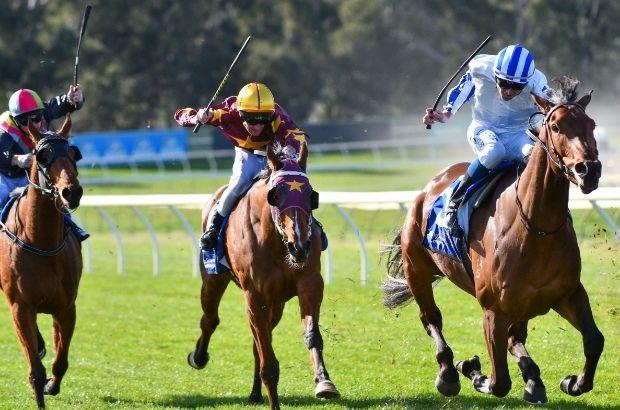 Country-RacingVIC.jpg