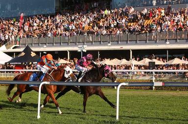 Doomben Crowd 