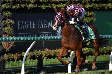 Eagle Farm-Finish 