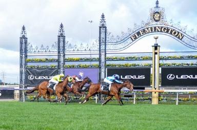 Flemington Finishing-Post3 