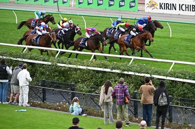 Flemington standing-crowd 
