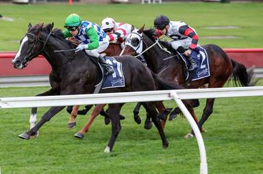 Morphettville closeup 