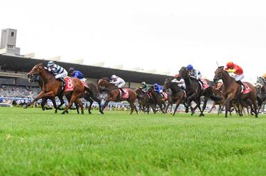 Oakleigh Plate-2023 