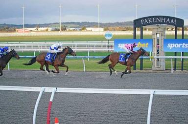 Pakenham Synthetic 