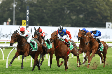 Randwick Chopped-Grass 