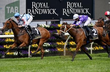 Randwick Finish3 