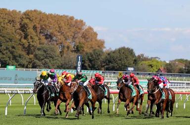 Randwick Grouped-Horses 