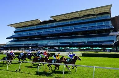 Randwick NoCrowds 