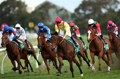 Randwick chad-schofield 