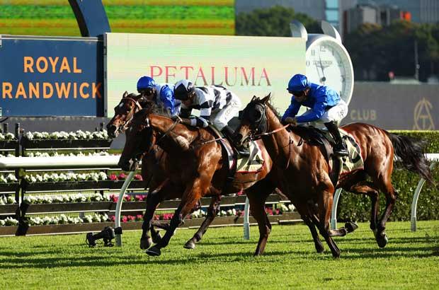 Randwick-side-sign.jpg