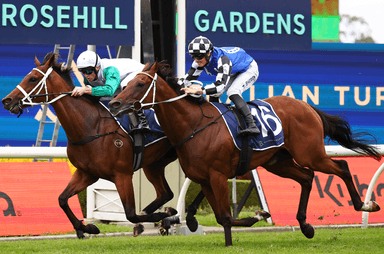 Rosehill Finish-Sign 