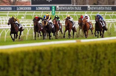 Rosehill Hedge 