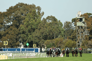 Rosehill Home-Straight 