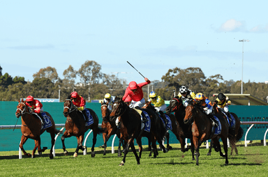 Rosehill bunched 