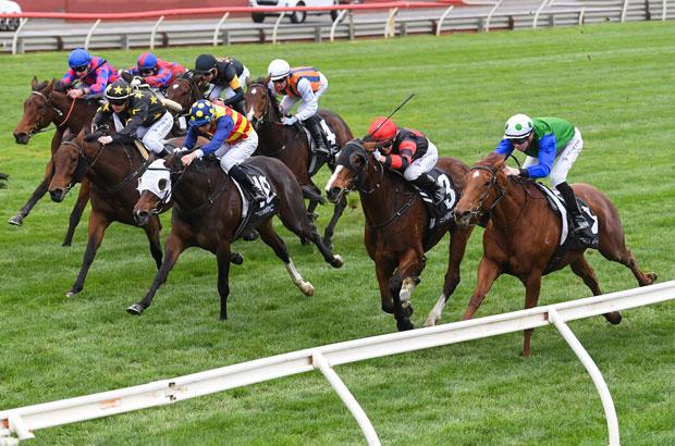 Sandown-rail-field.jpg