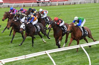 Sandown rail-field 