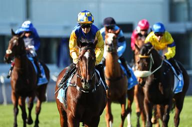 Standing Horses-Randwick 