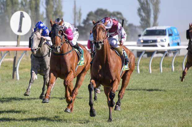country-racing11.jpg