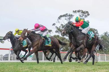 country racing8 
