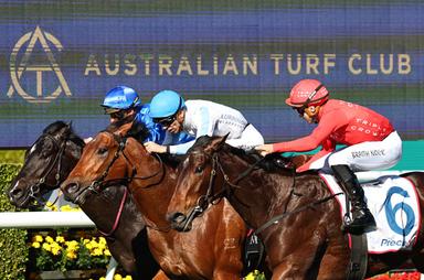 randwick atc 