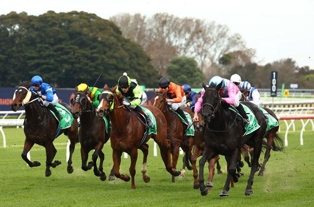 randwick-closeup.jpg