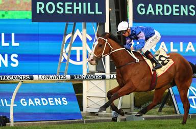 rosehill mcevoy 