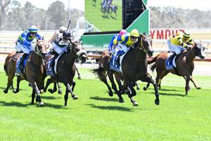 Country Racing-Vic10 