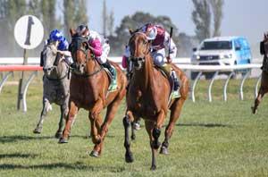 Country Racing11 