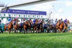Flemington Barrier-Jump3 