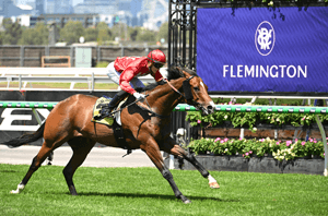 Flemington Finish-Sign 