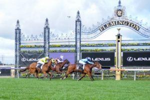 Flemington Finishing-Post3 