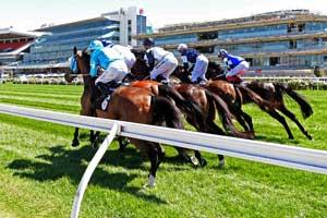 Flemington Horses-Bunched 