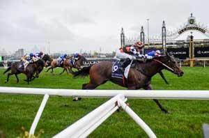 Flemington Rail-Overcast 