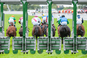 Horse racing-barriers-2 