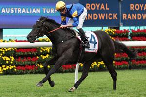 Randwick Finish-4 