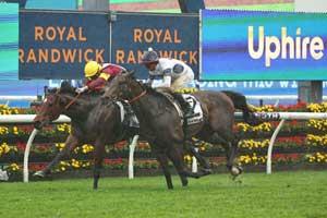 Randwick Finish-Wet 