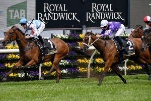 Randwick Finish3 
