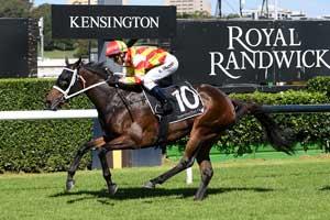 Randwick Kensington 