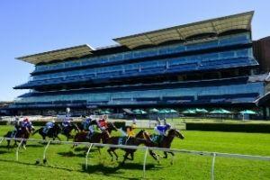 Randwick NoCrowds 