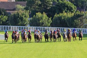 Randwick Straigh wide 