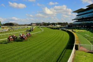 Randwick Turn 