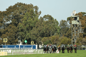 Rosehill Home-Straight 