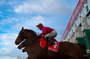 Sandown Barrier-Ground 